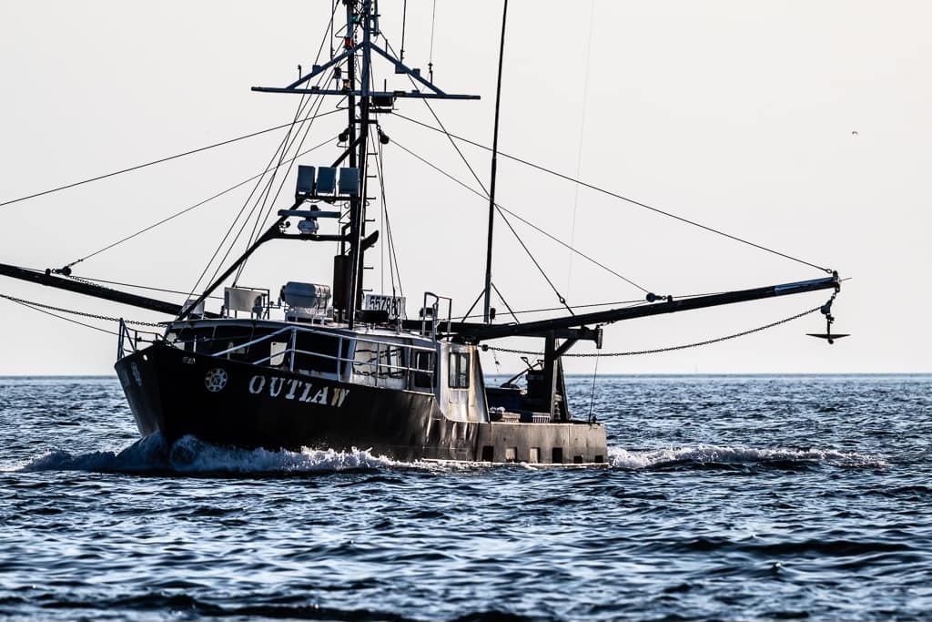 The Scallop Truck