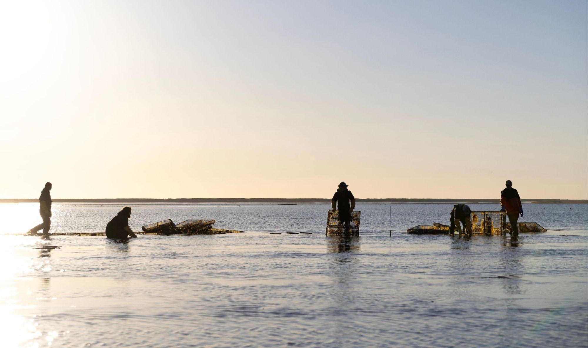 Deluxbury Sea Farm