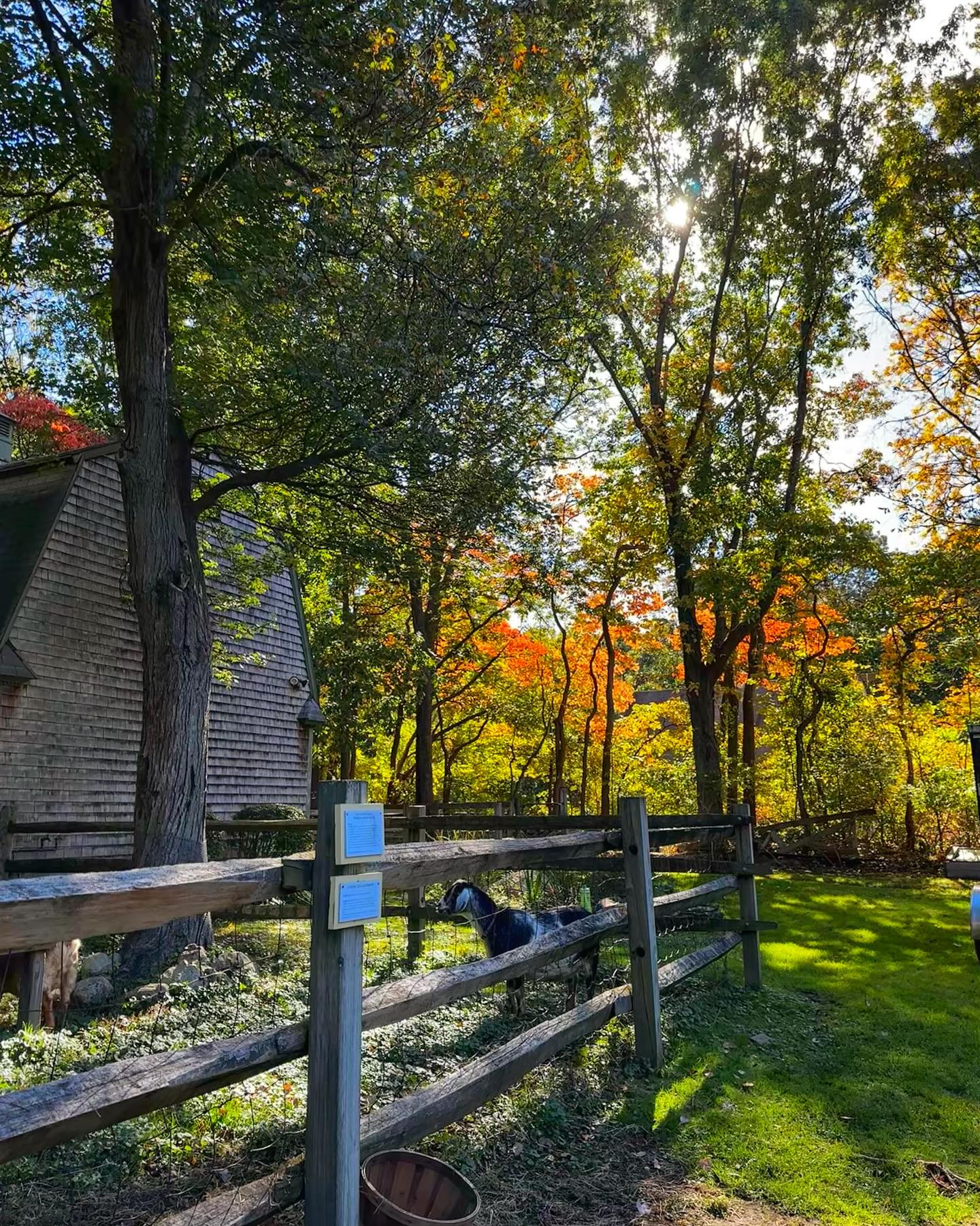 Dalby Farm