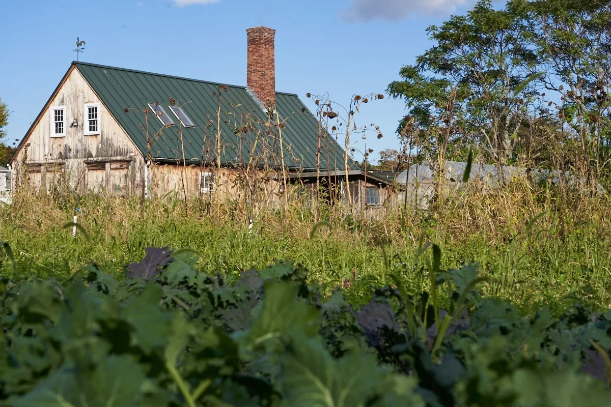 Belmont Acres Farm