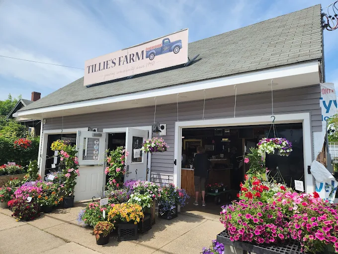 Tillie's Farm