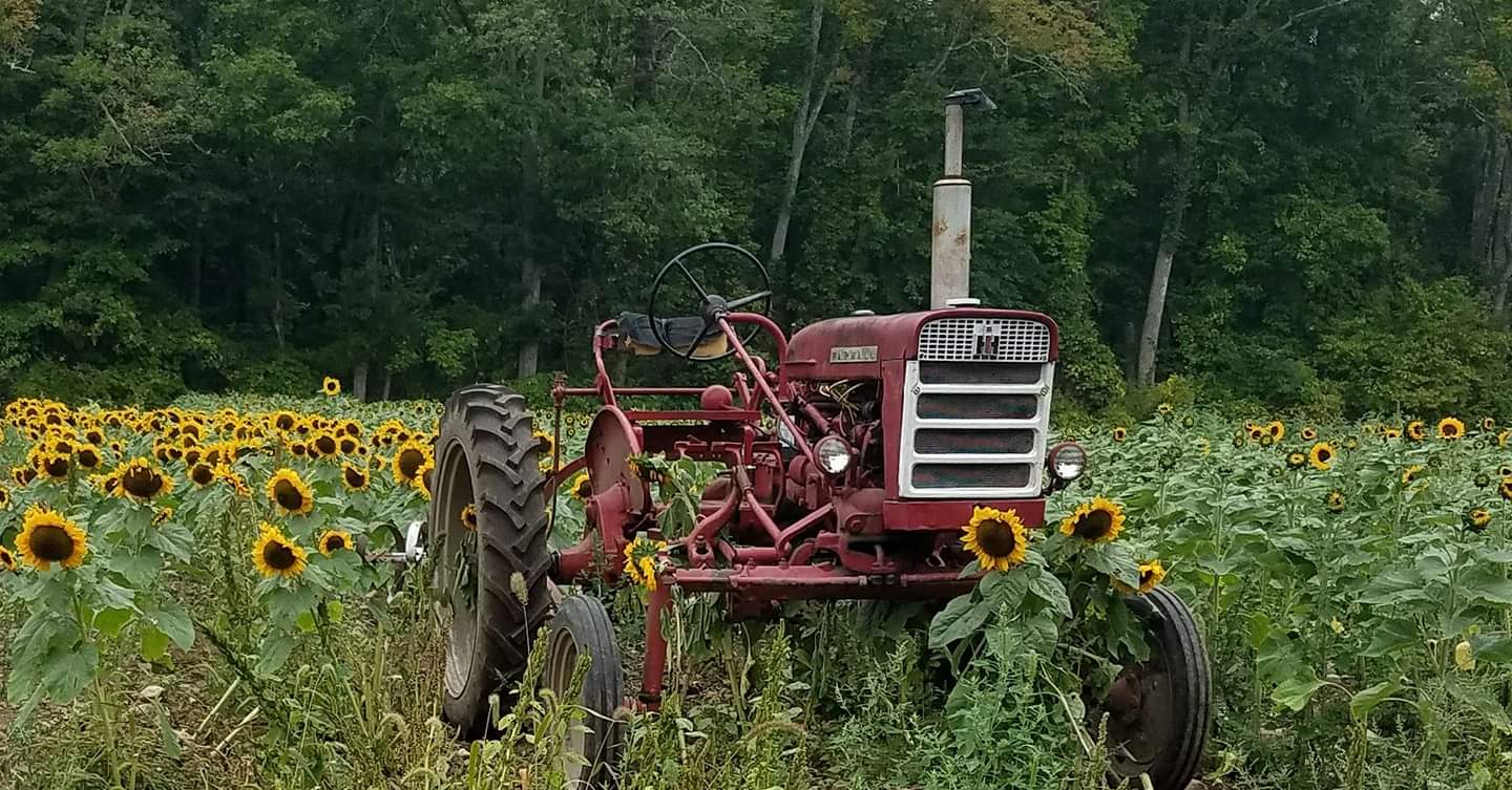 Homestead Farm