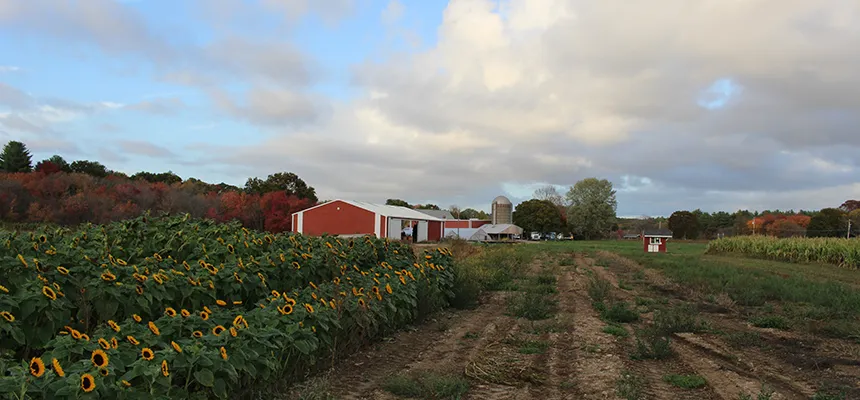 Flint Farm