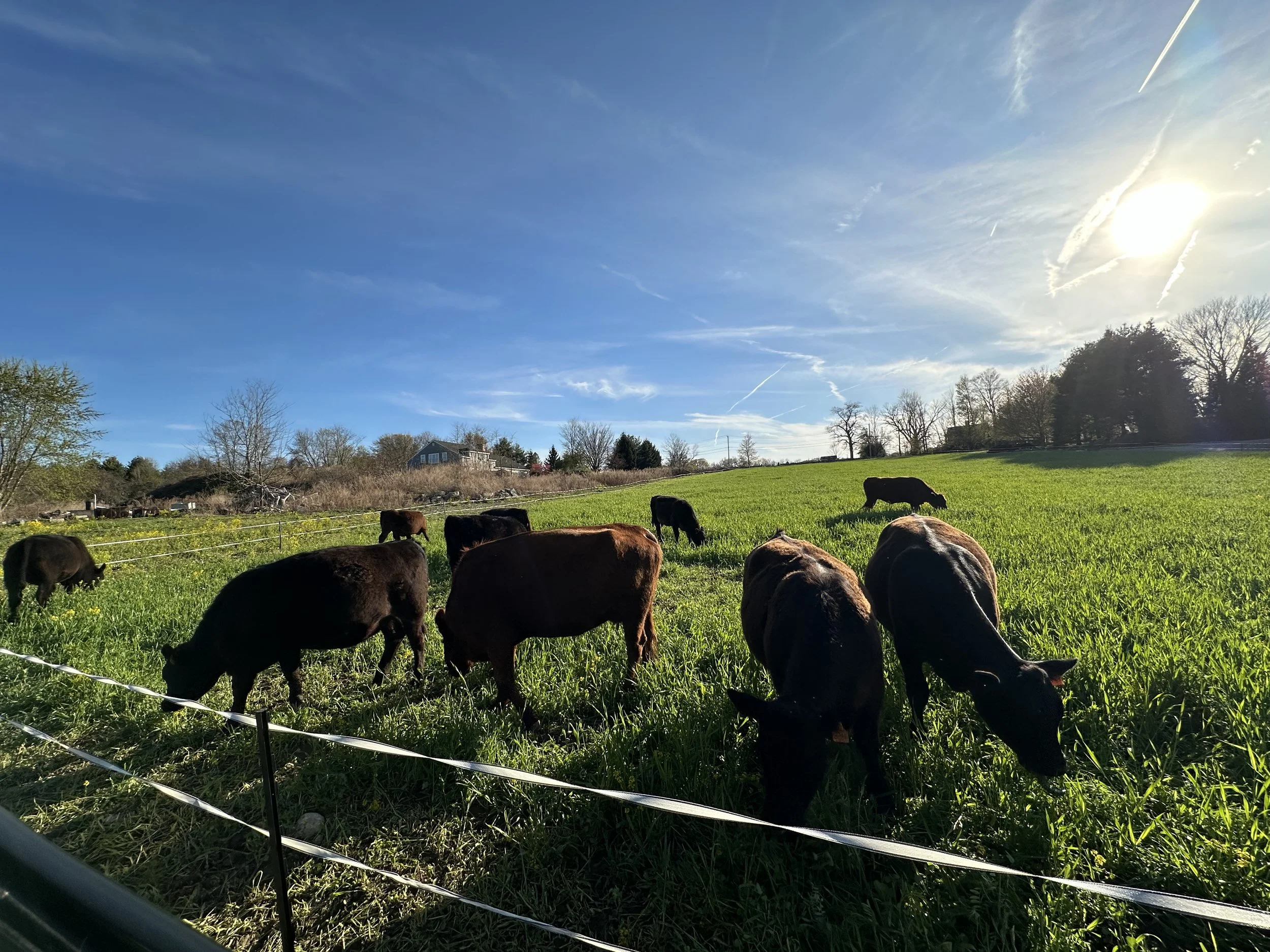 Bean Family Farm