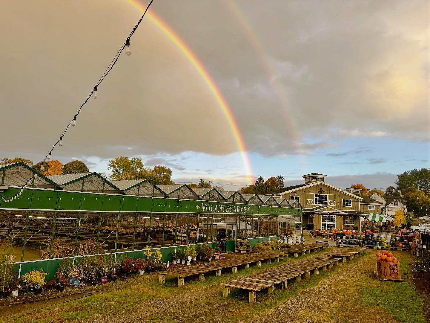 Volante Farms