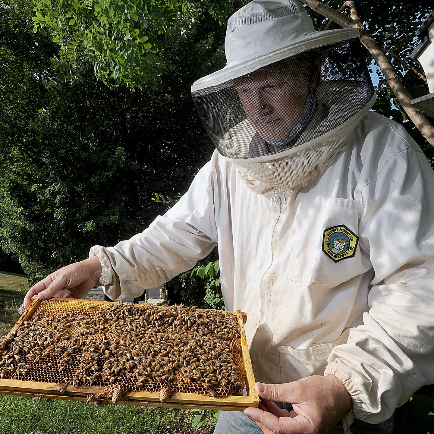 Hudson Hives