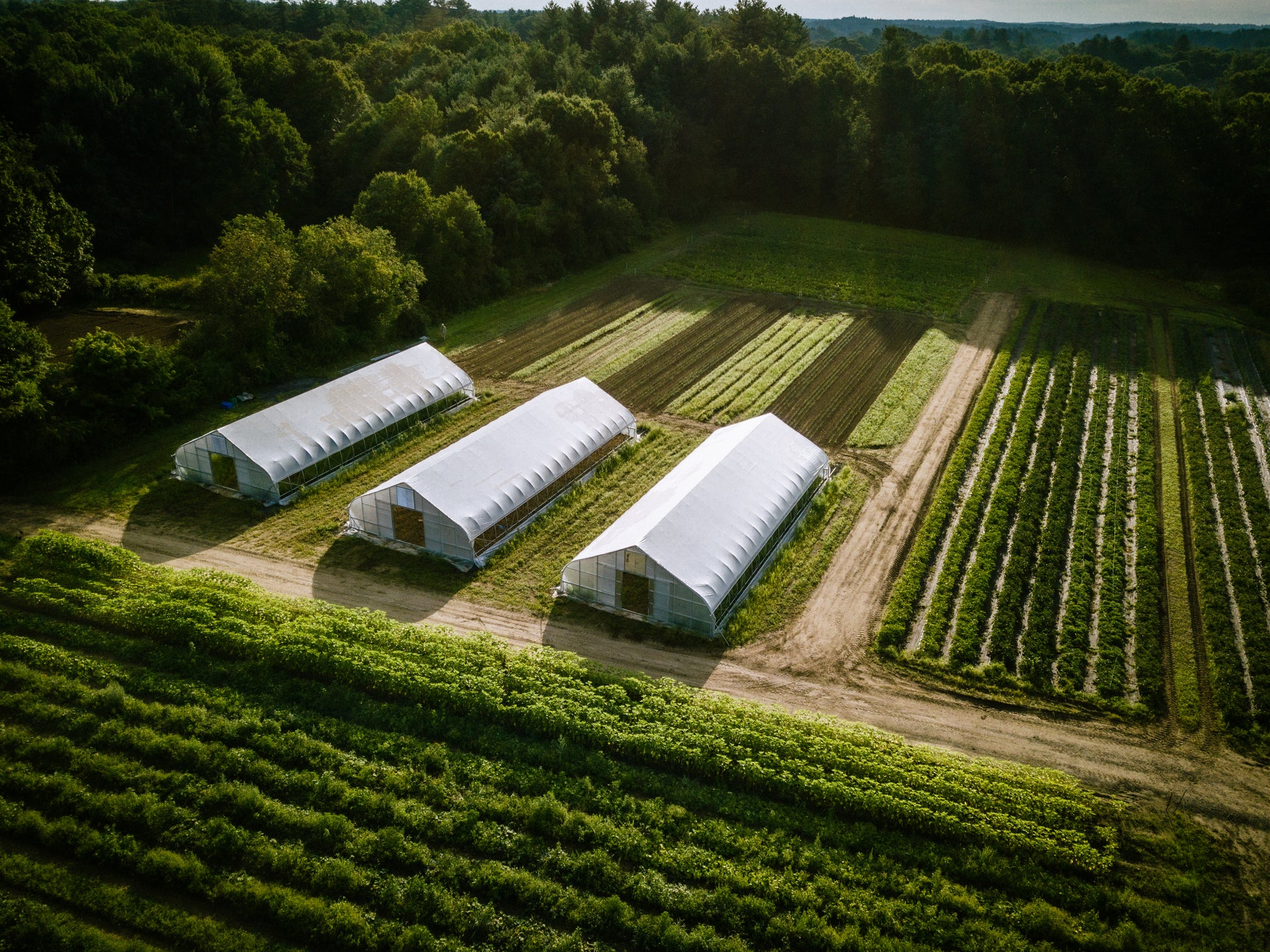 Siena Farms - South End