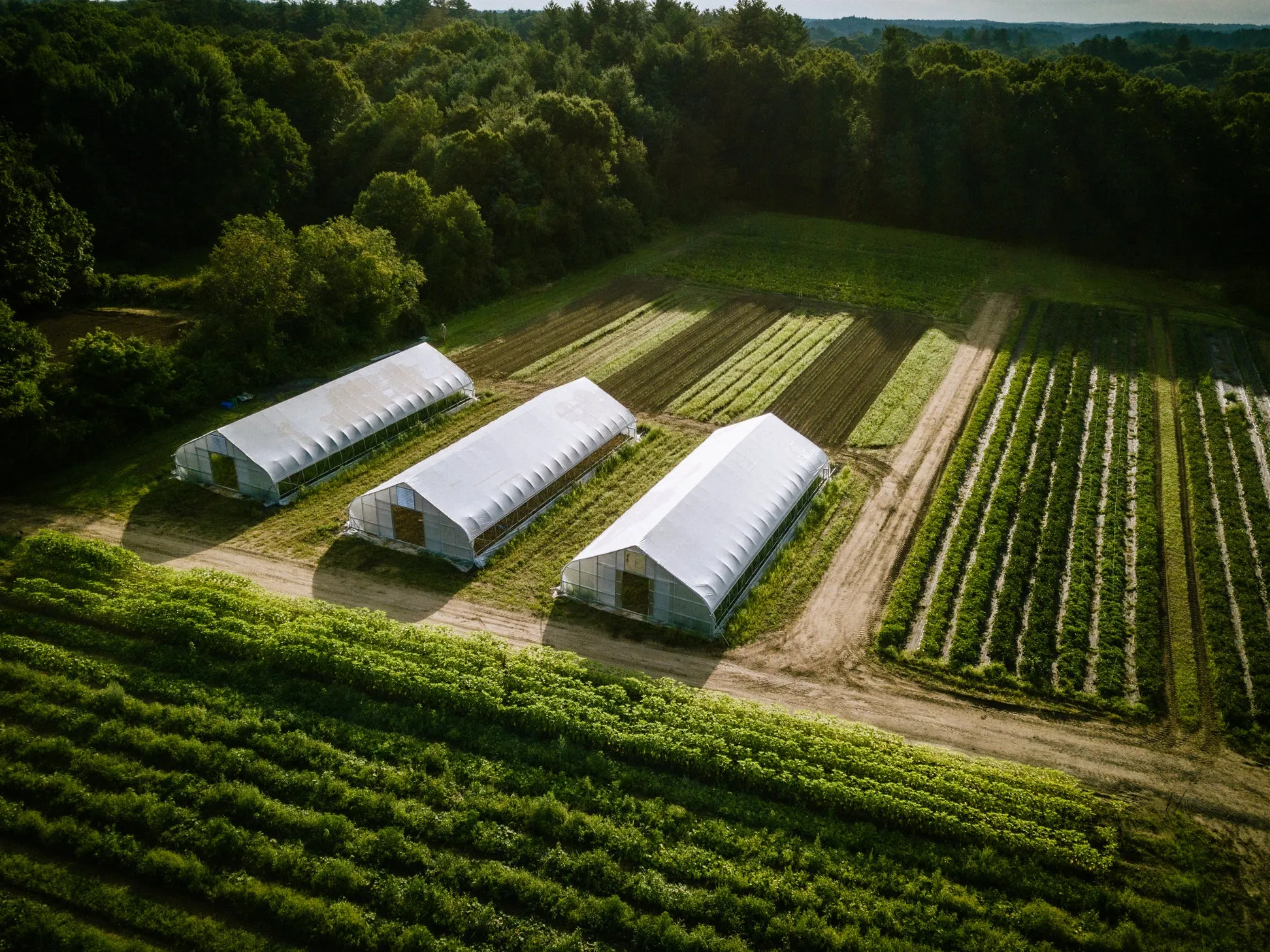 Siena Farms - Boston