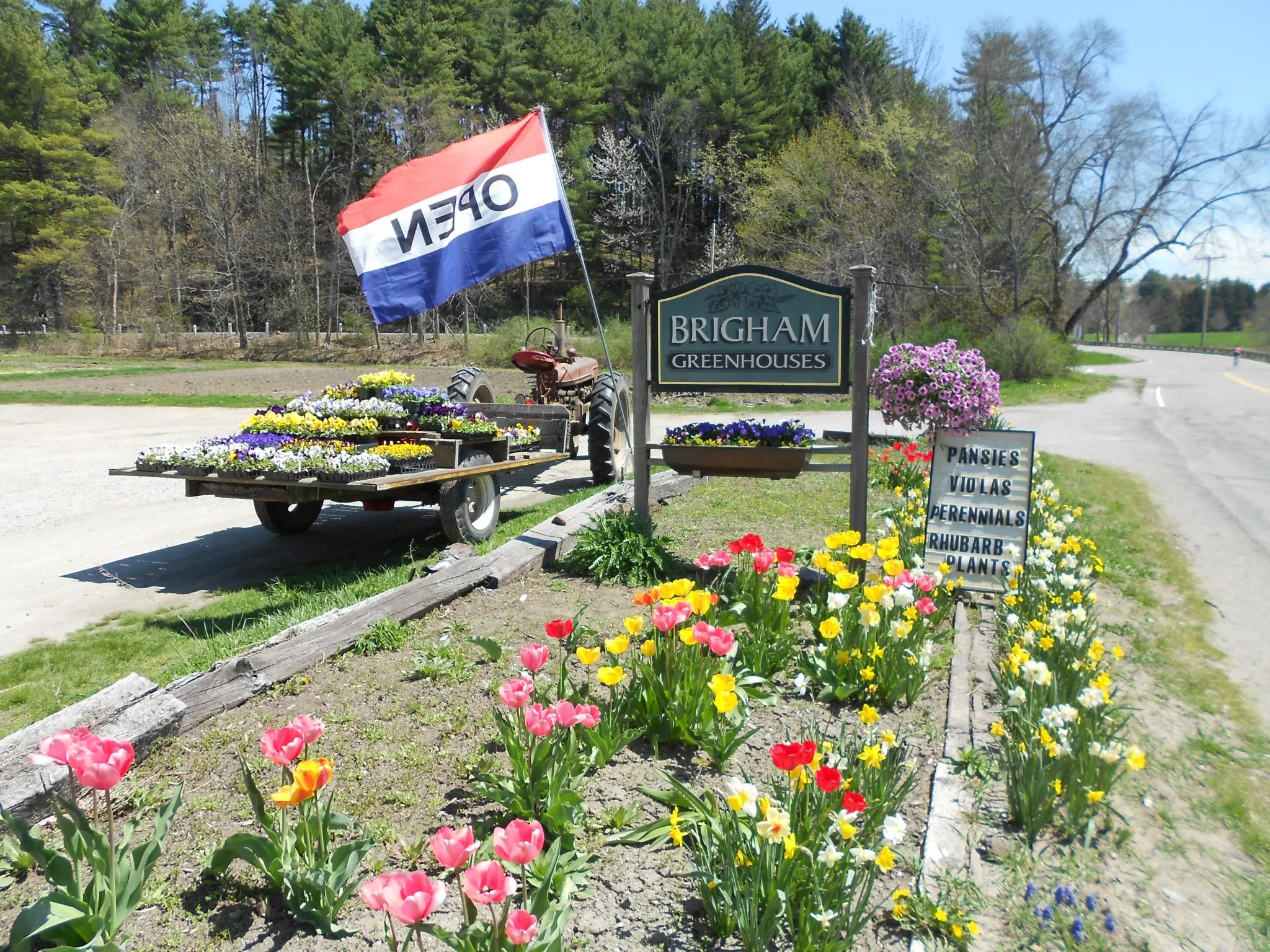 Brigham Farm