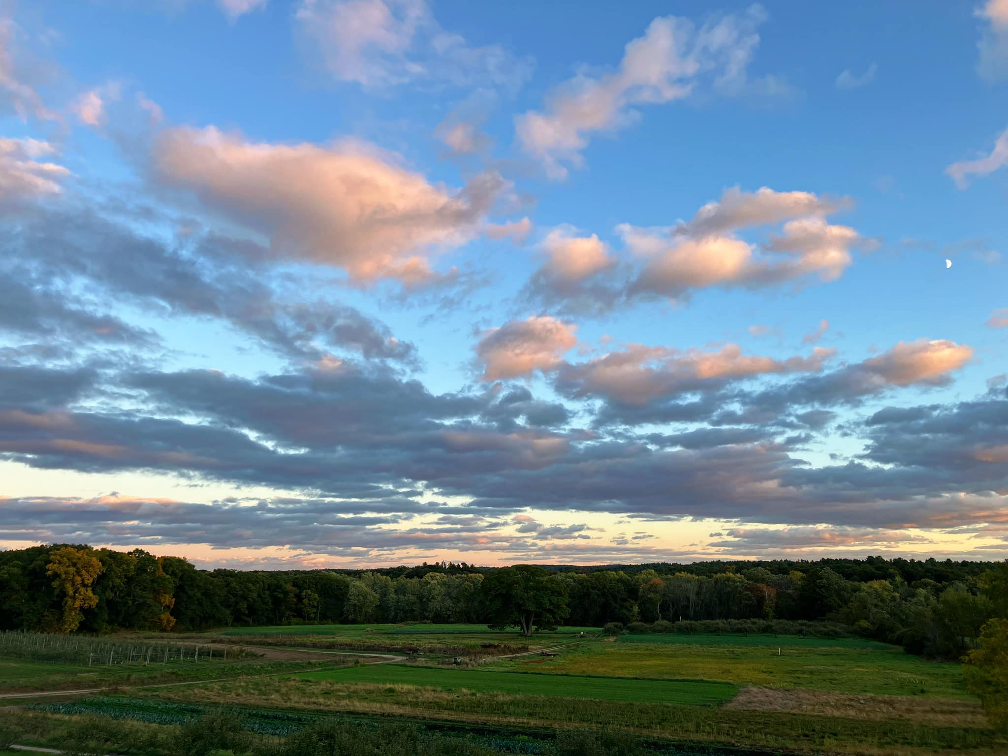 Hutchins Farm