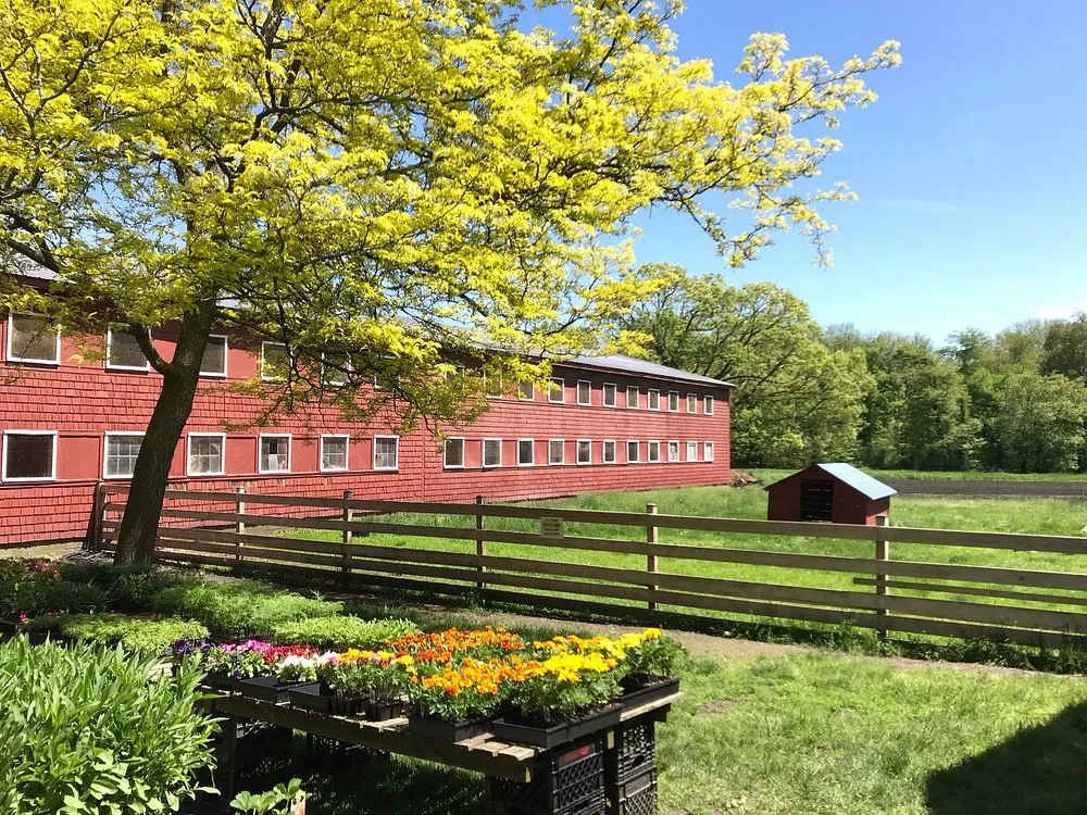 Chip In Farm