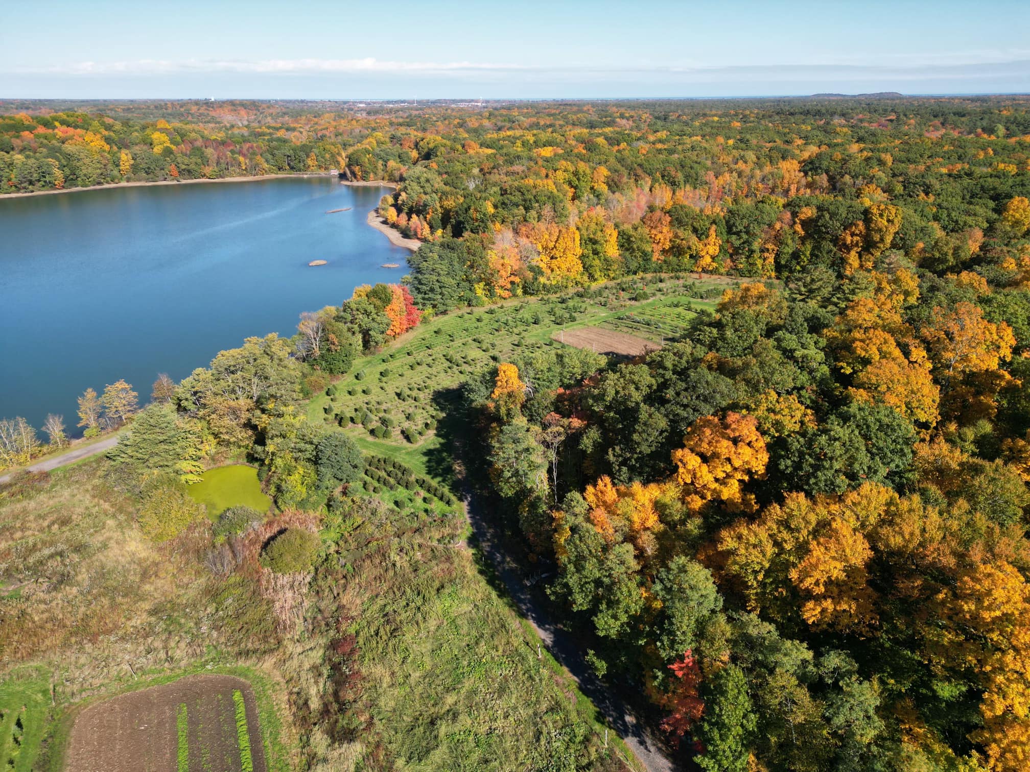 Maple Crest Farm