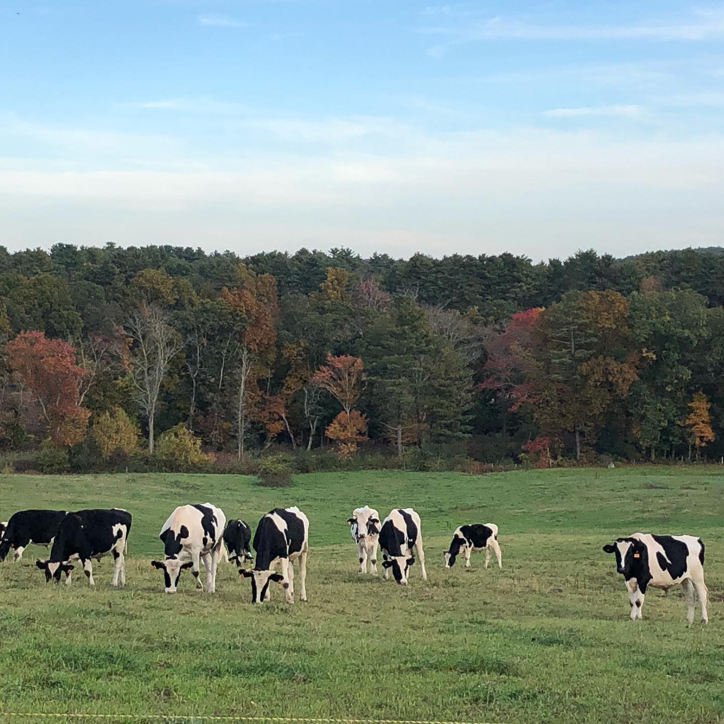 Herrick Farm