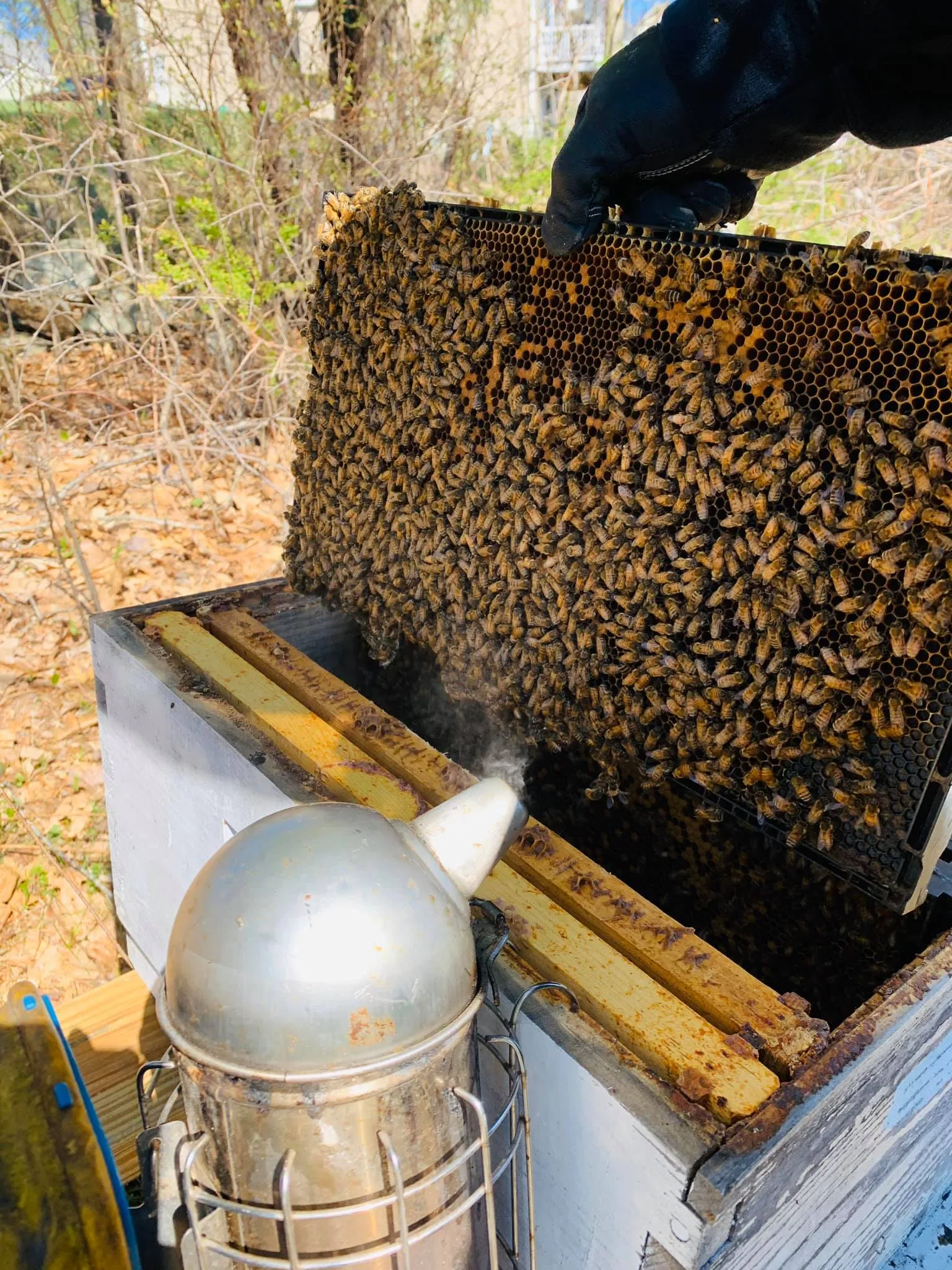 Honey Pot Maple Farm