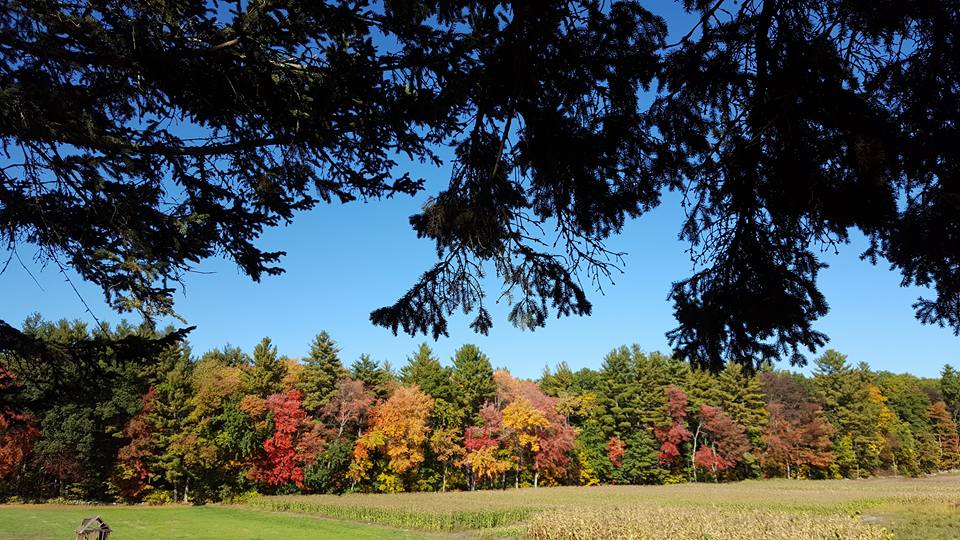 Lawndale Farm