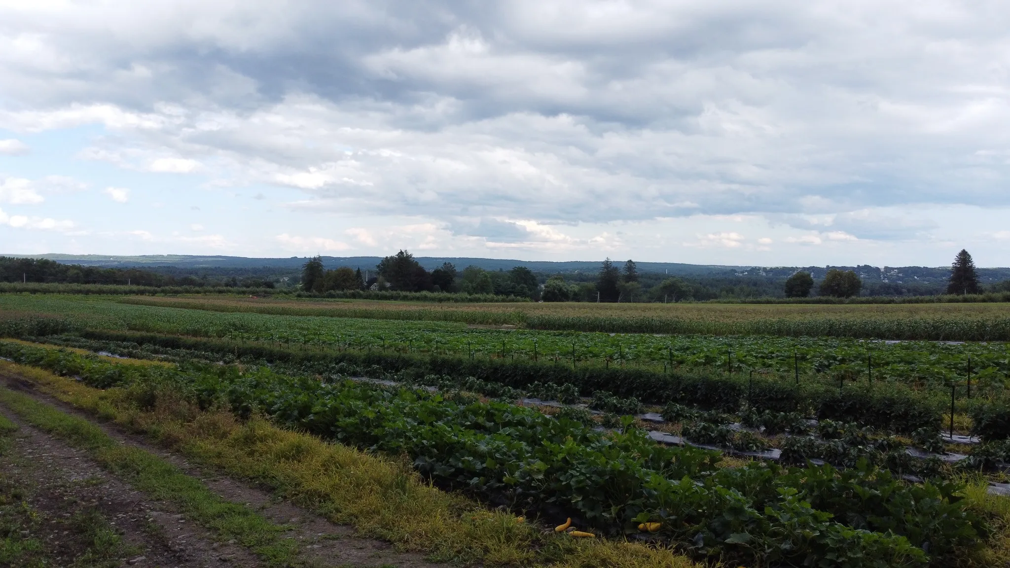 Deershorn Farm