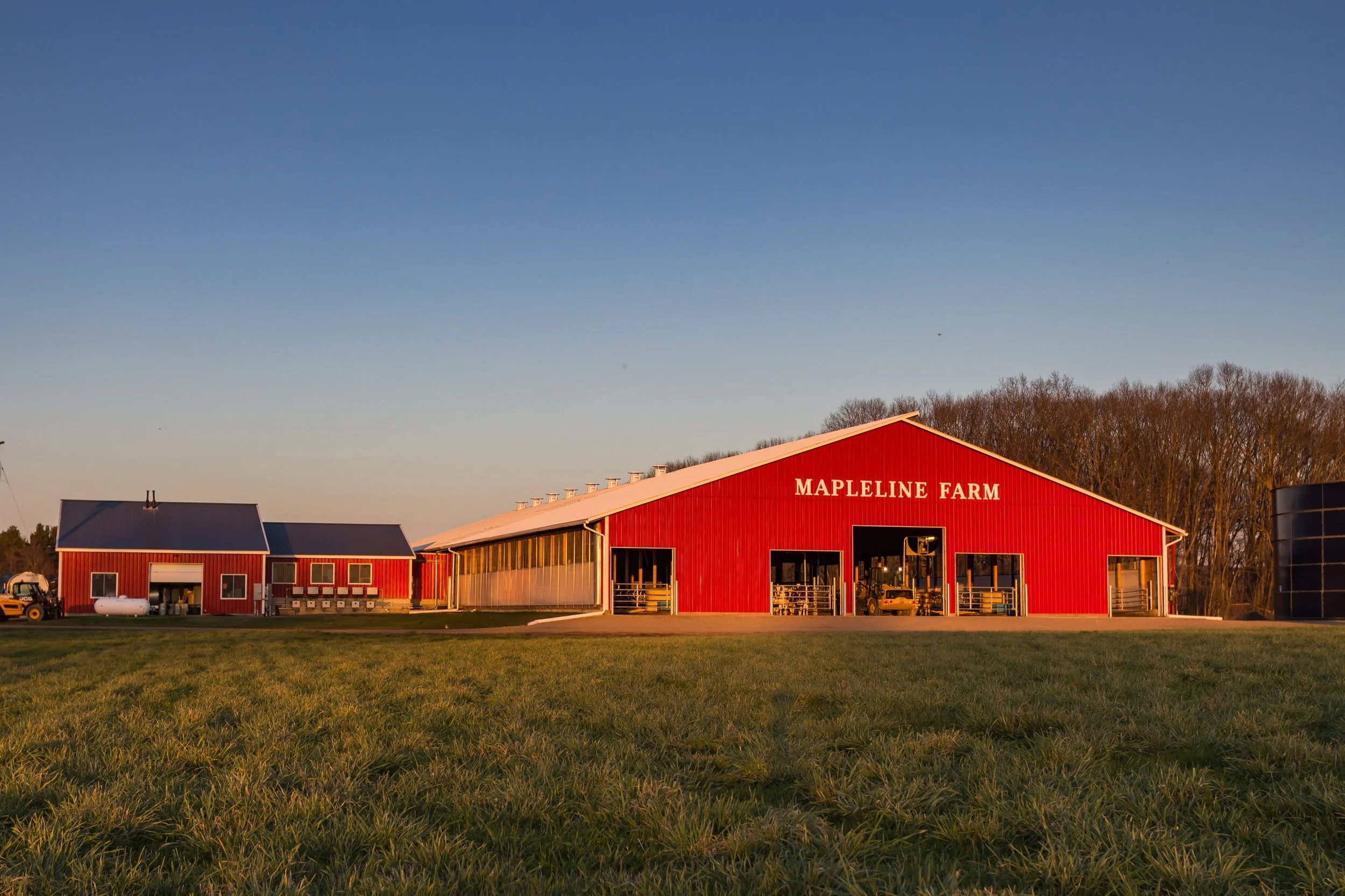 Mapleline Farm