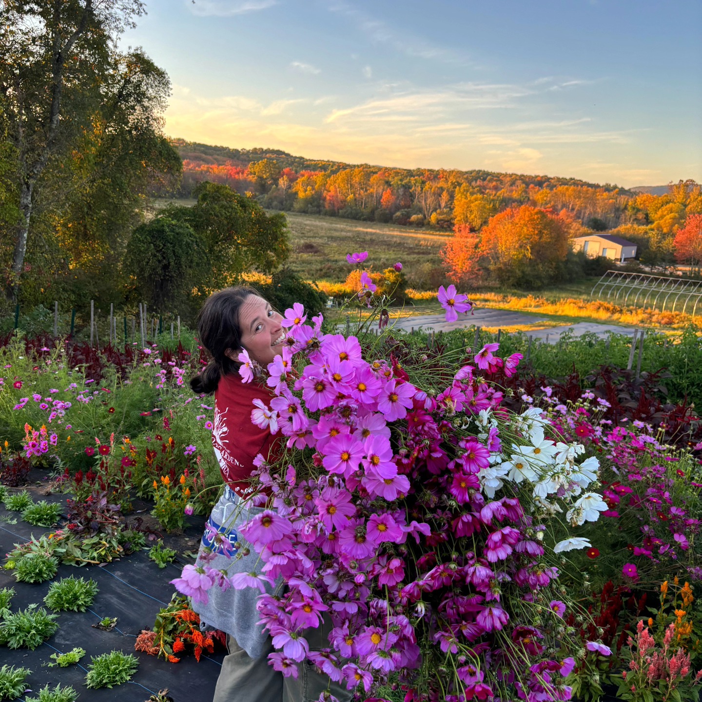 Dave's Natural Garden
