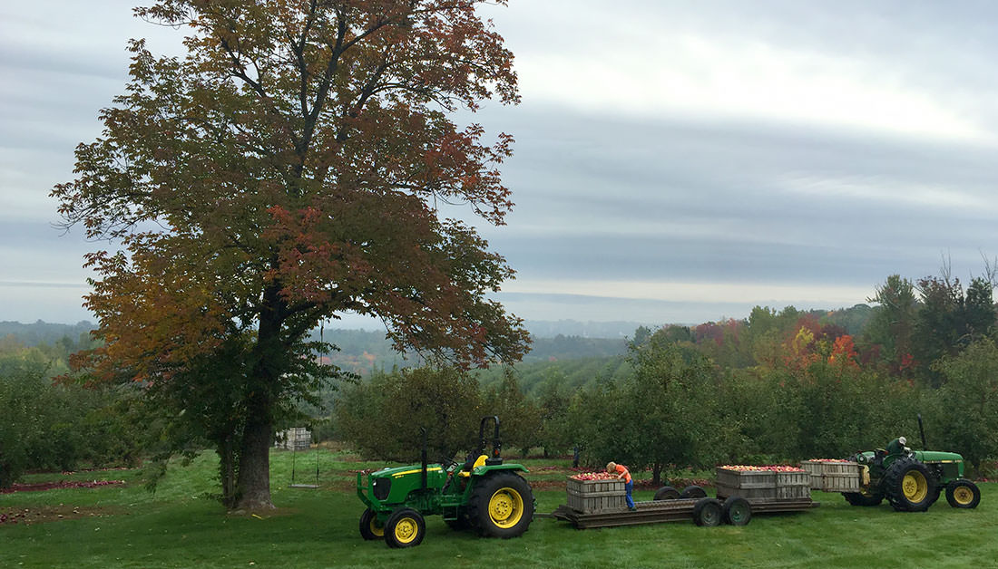 Meadowbrook Orchards