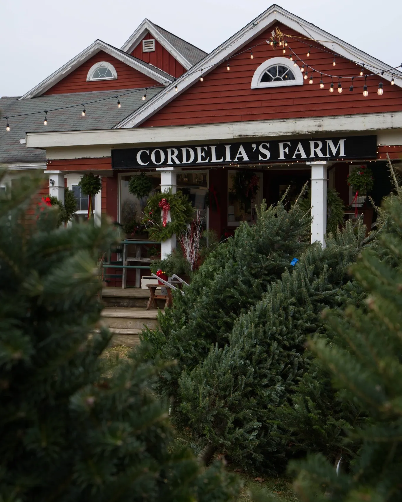 Cordelias Farm