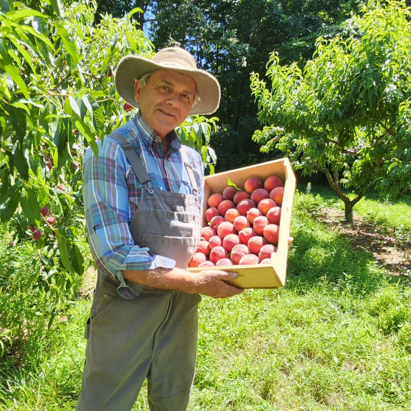 Cooks Valley Farm