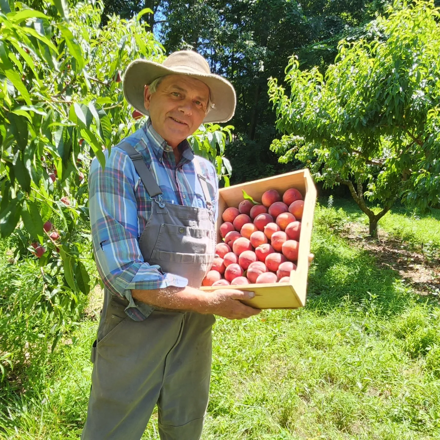 Cooks Valley Farm