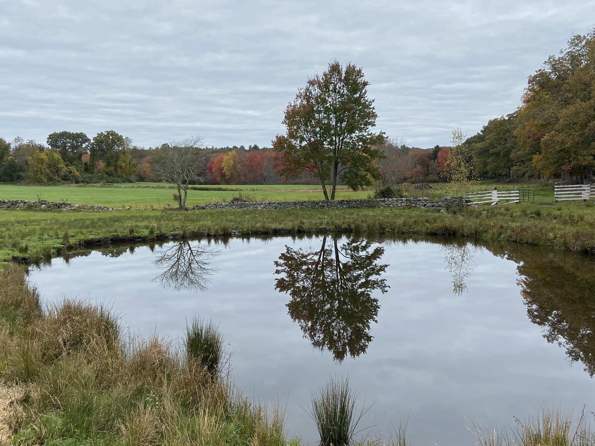 Quissett Hill Farm
