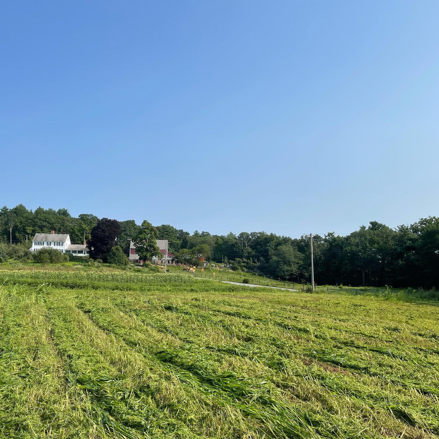 Ironstone Farm