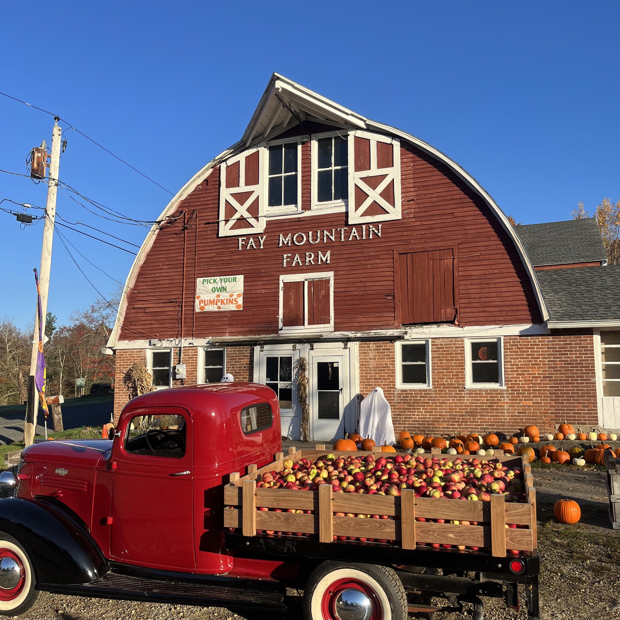 Fay Mountain Farm