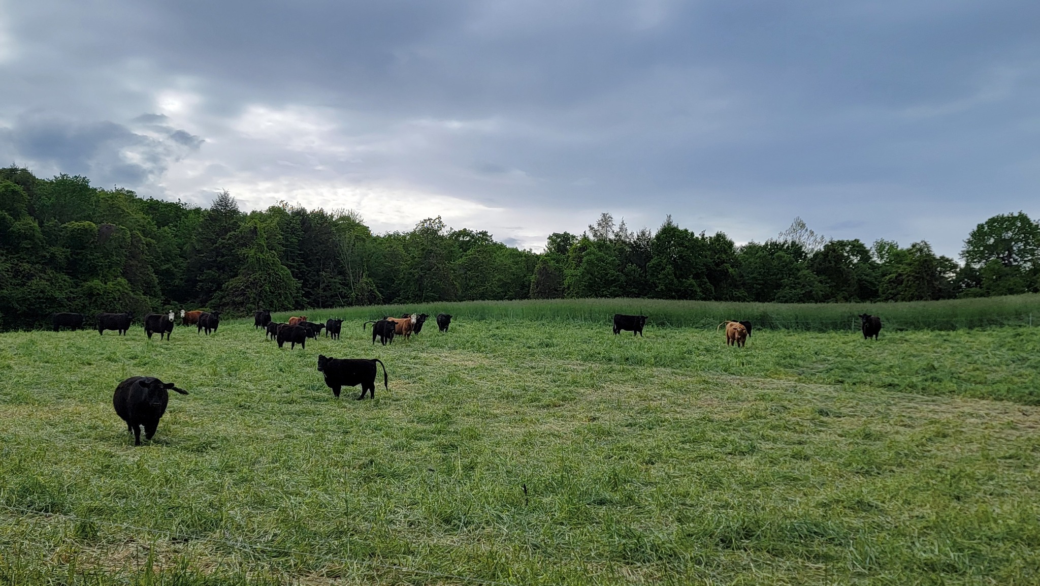 Mayval Farm Creamery and Farm Store