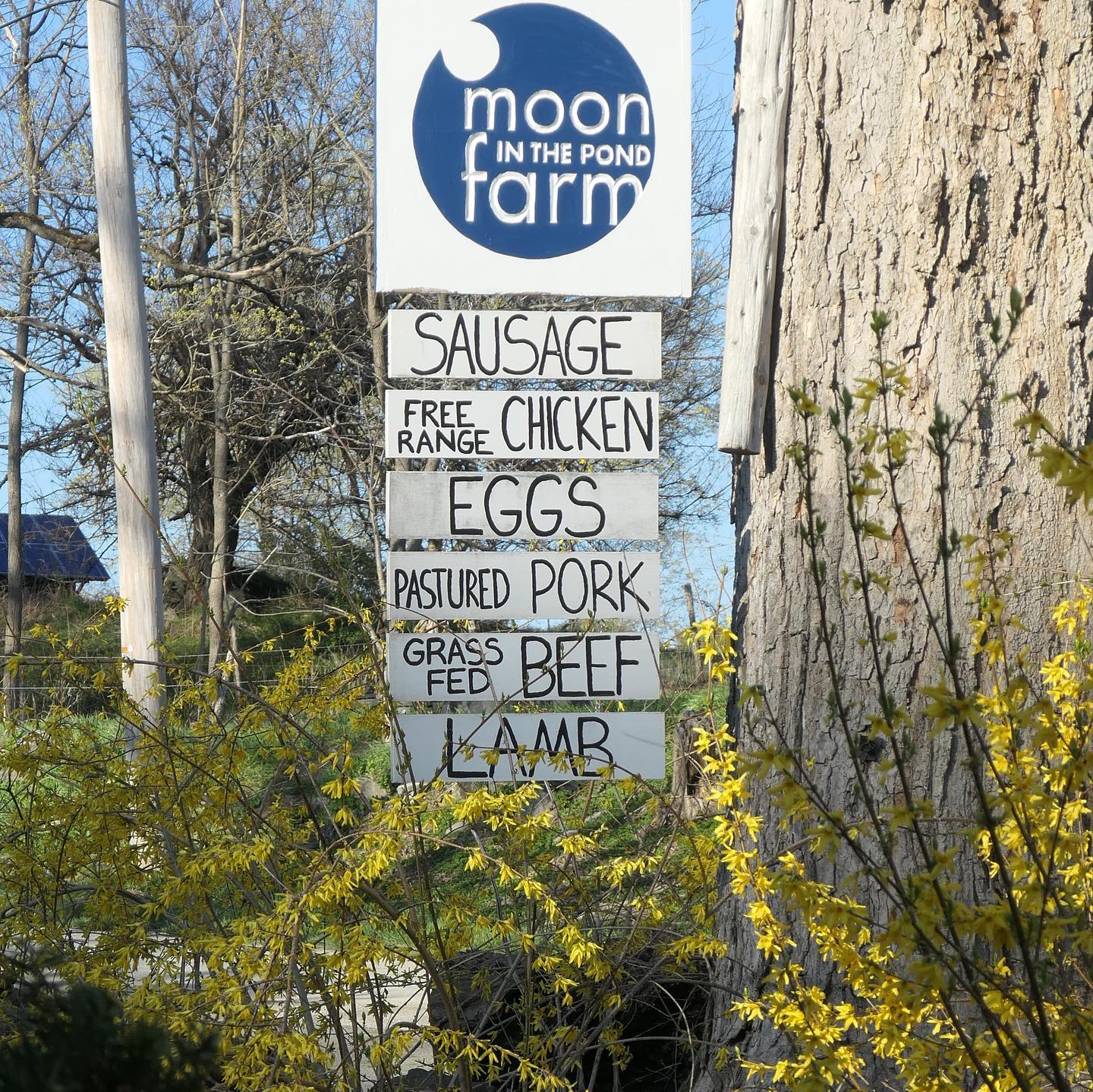 Moon in the Pond Farm
