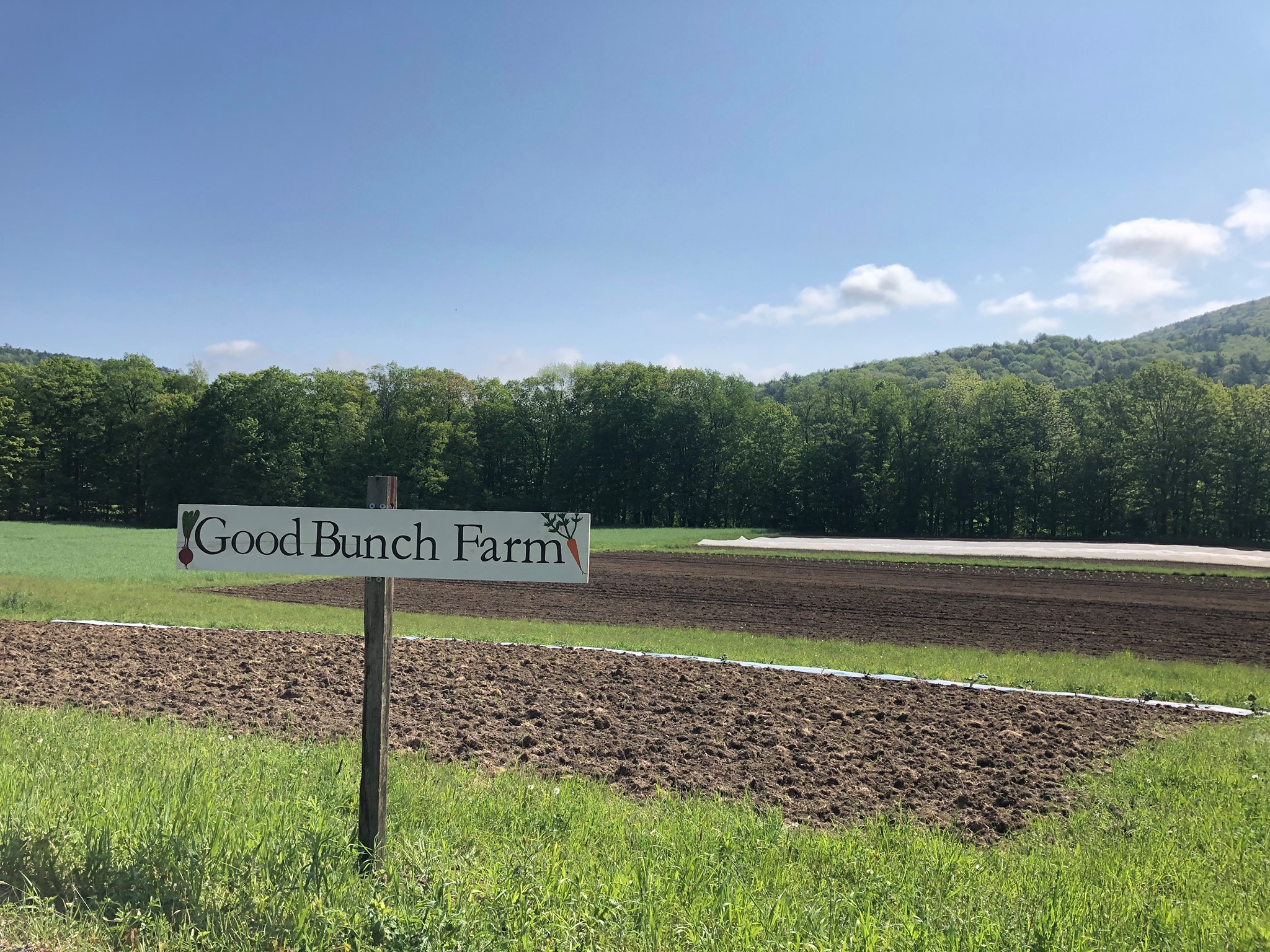 Good Bunch Farm