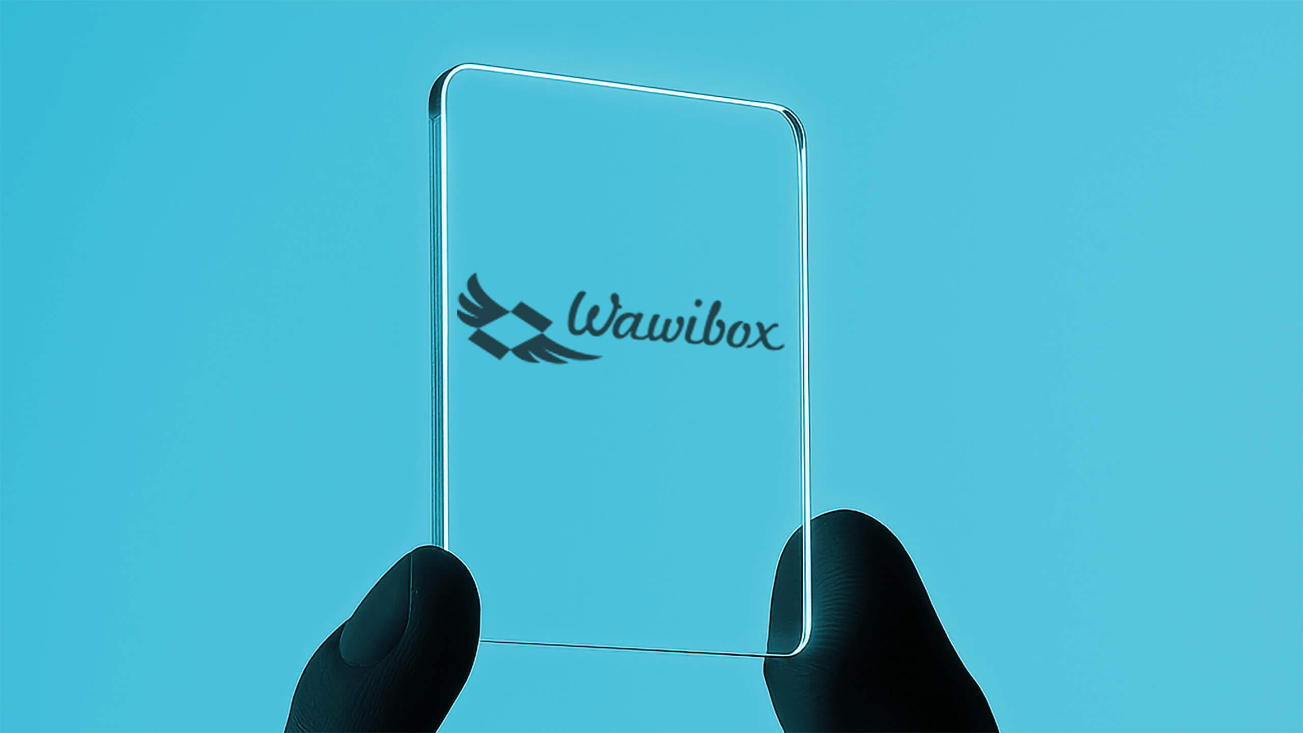 Logo & MiniManual