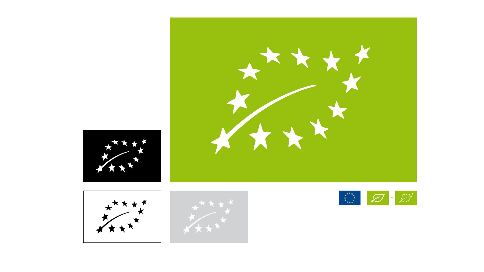 EU-Biologo: Case Study Branding & Webdesign | KIDES