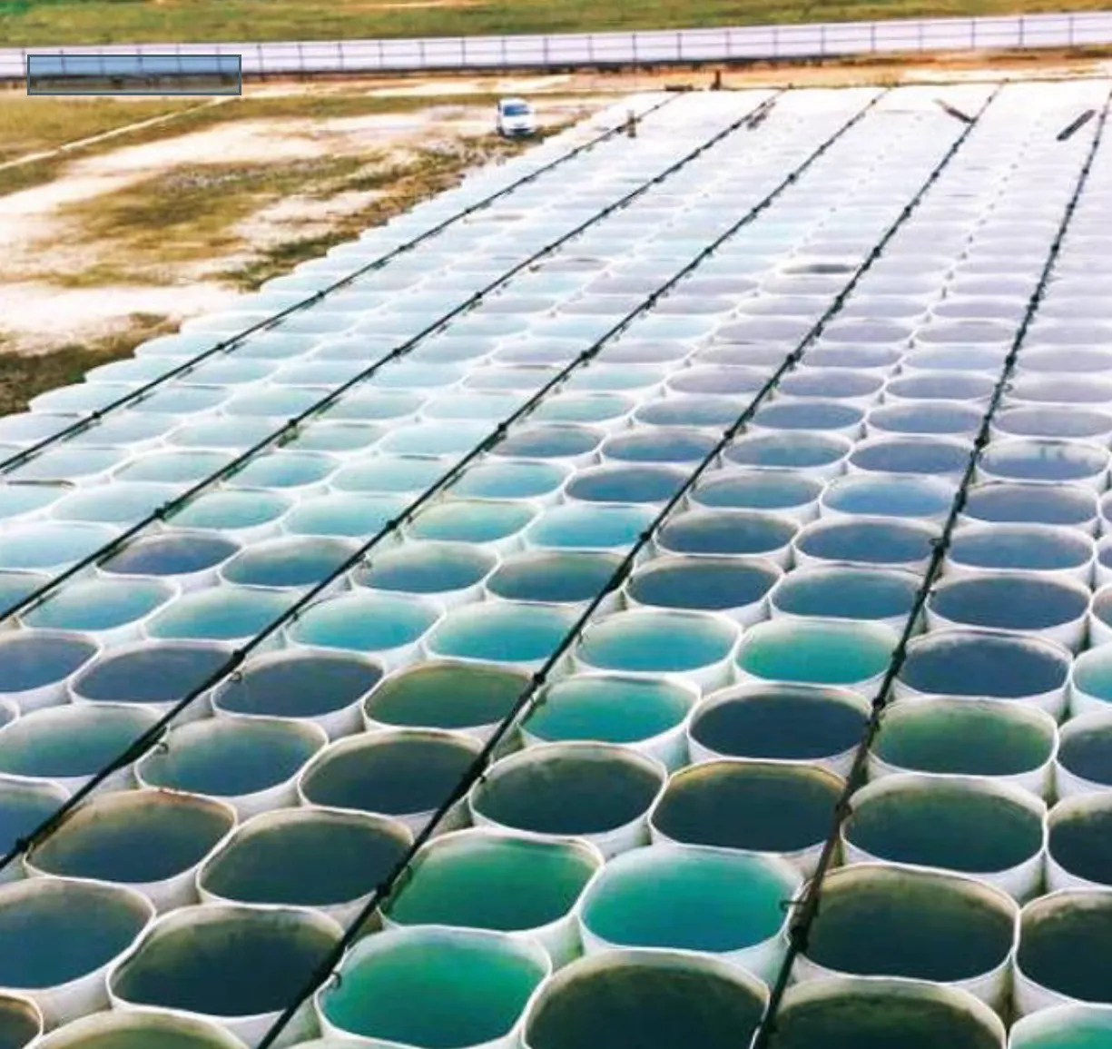 Rows of large circular tanks filled with water in an outdoor algae cultivation facility.