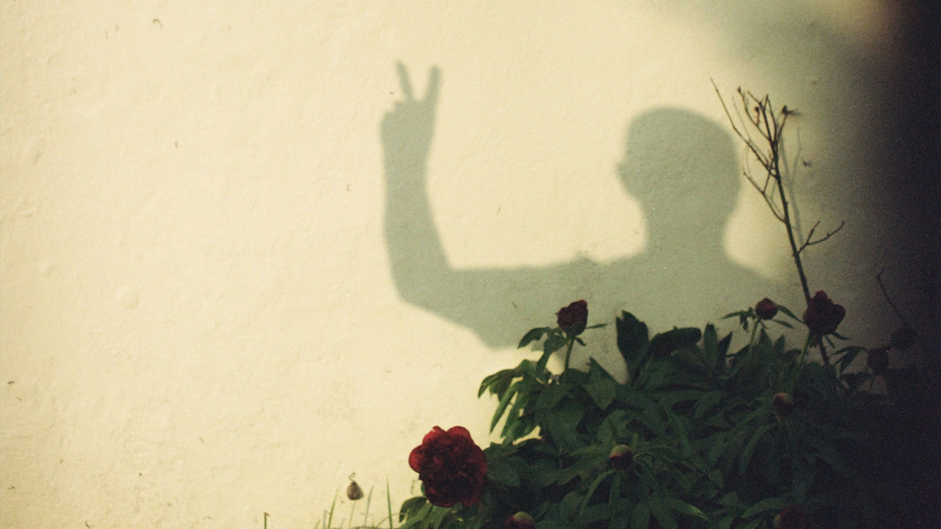 Fotografia ilustrativa da equipa da Triber