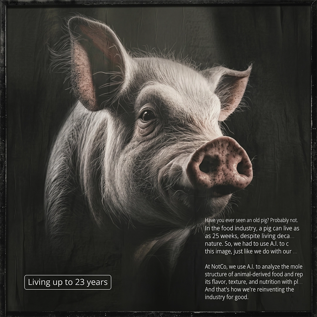 Imagem de capa da newsletter, clique para explorar o conteúdo