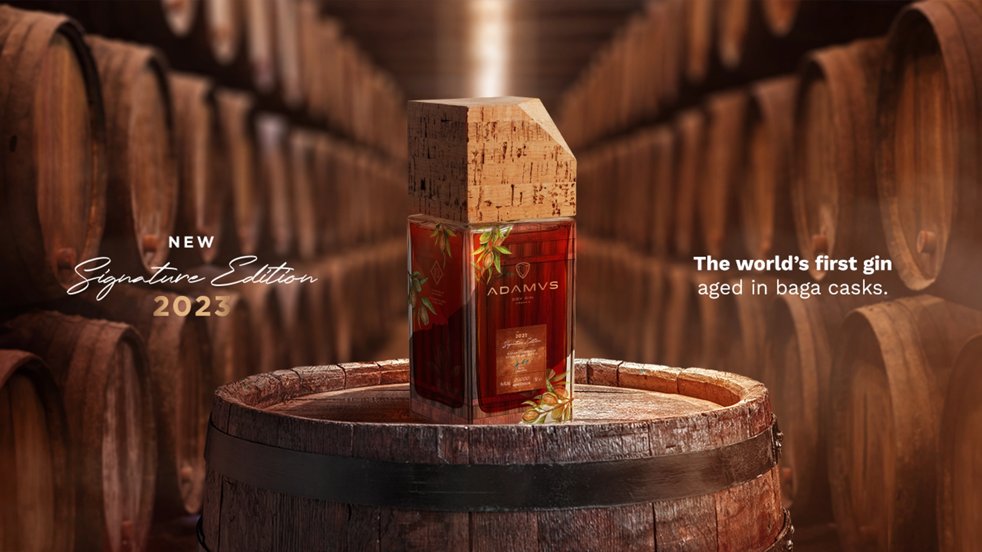 Imagem Ilustrativa do Projeto