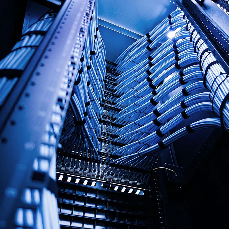 Organised network cables bundled and secured inside a server cabinet, illuminated with blue lighting.