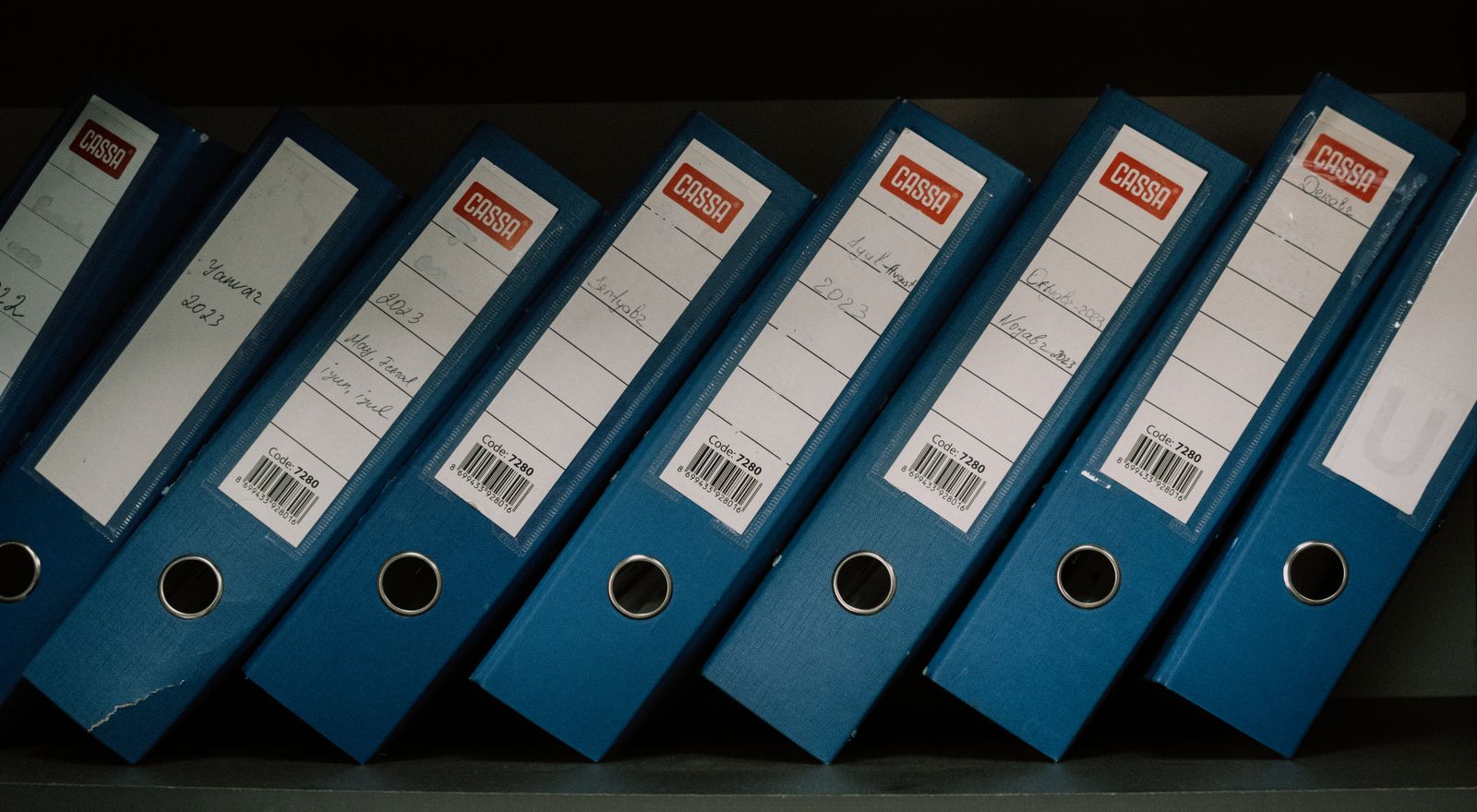 Neatly labeled binders arranged on records shelves