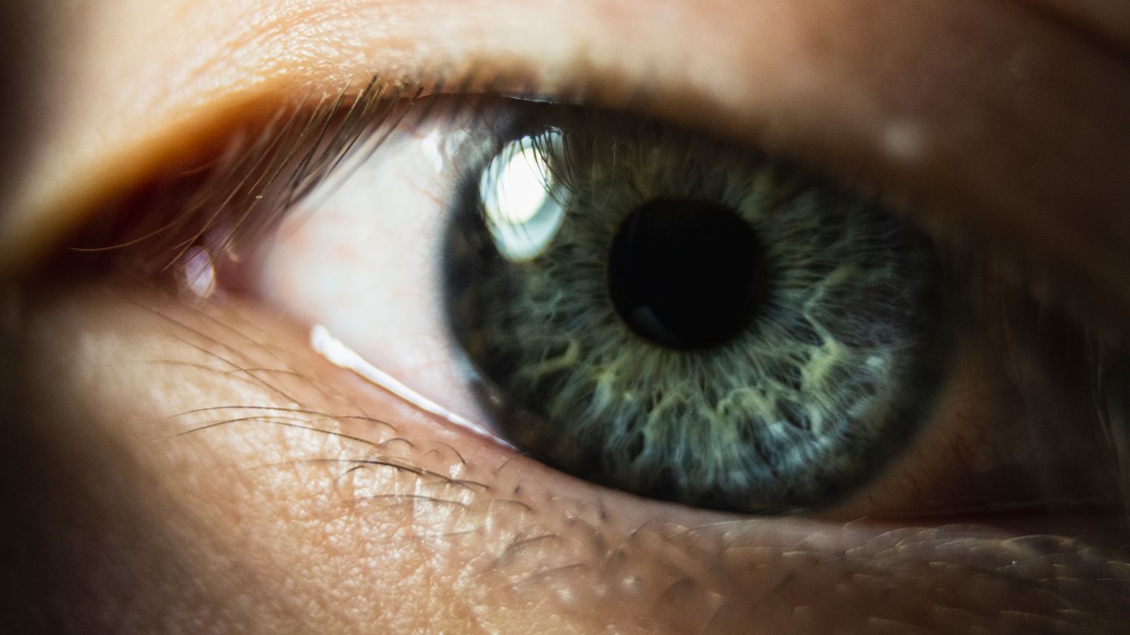 Macro close-up of a human eye showing iris detail