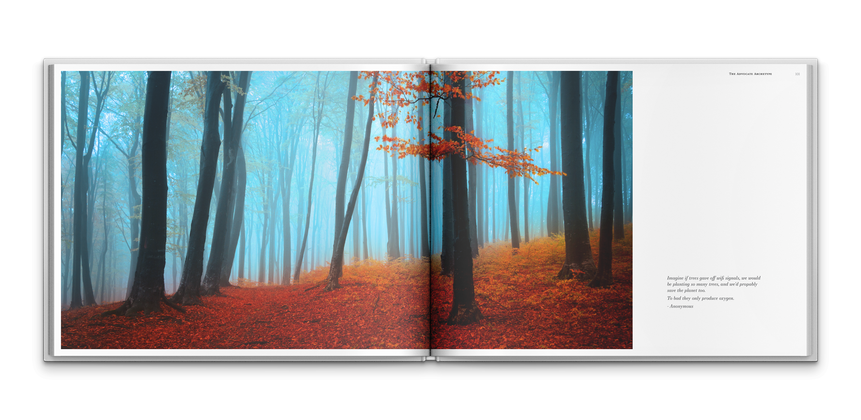 Advocate archetype spread depicting a misty forest landscape symbolizing environmental awareness and sustainable luxury values.