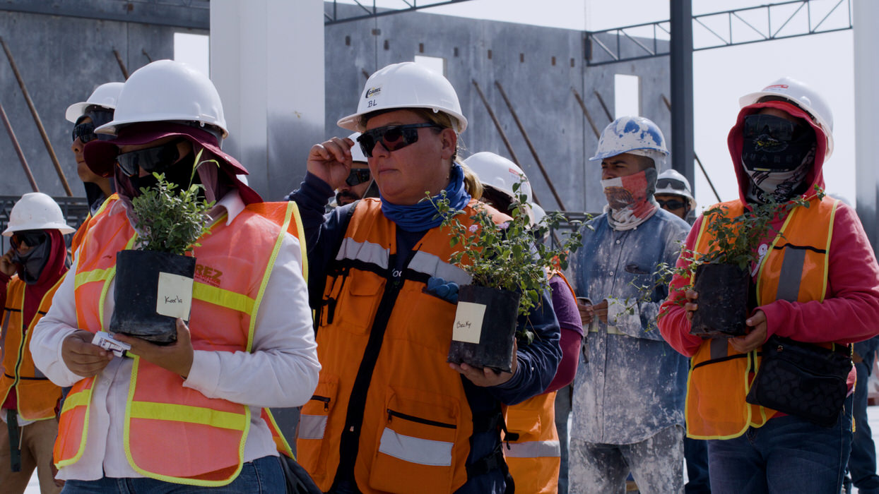 Cuadrilla con chalecos naranja sostiene plantas en maceta dentro de una nave en obra.