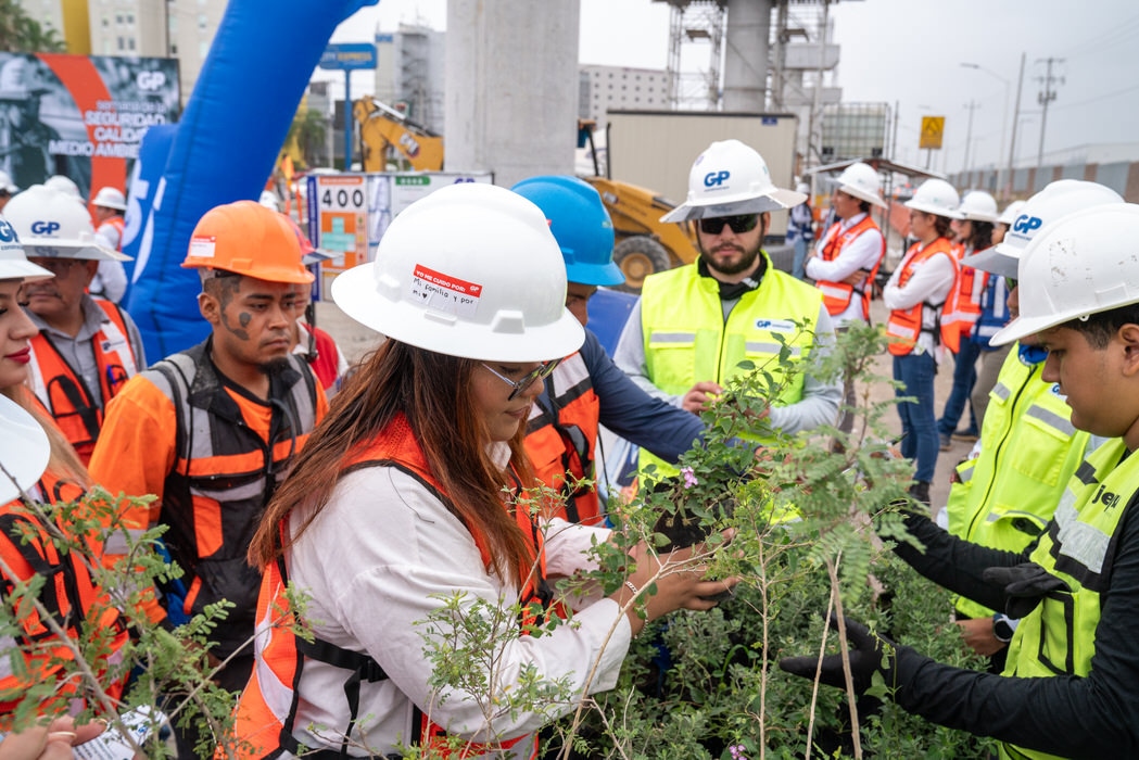 Personal con casco revisa arbustos en una actividad de reforestación en la obra.