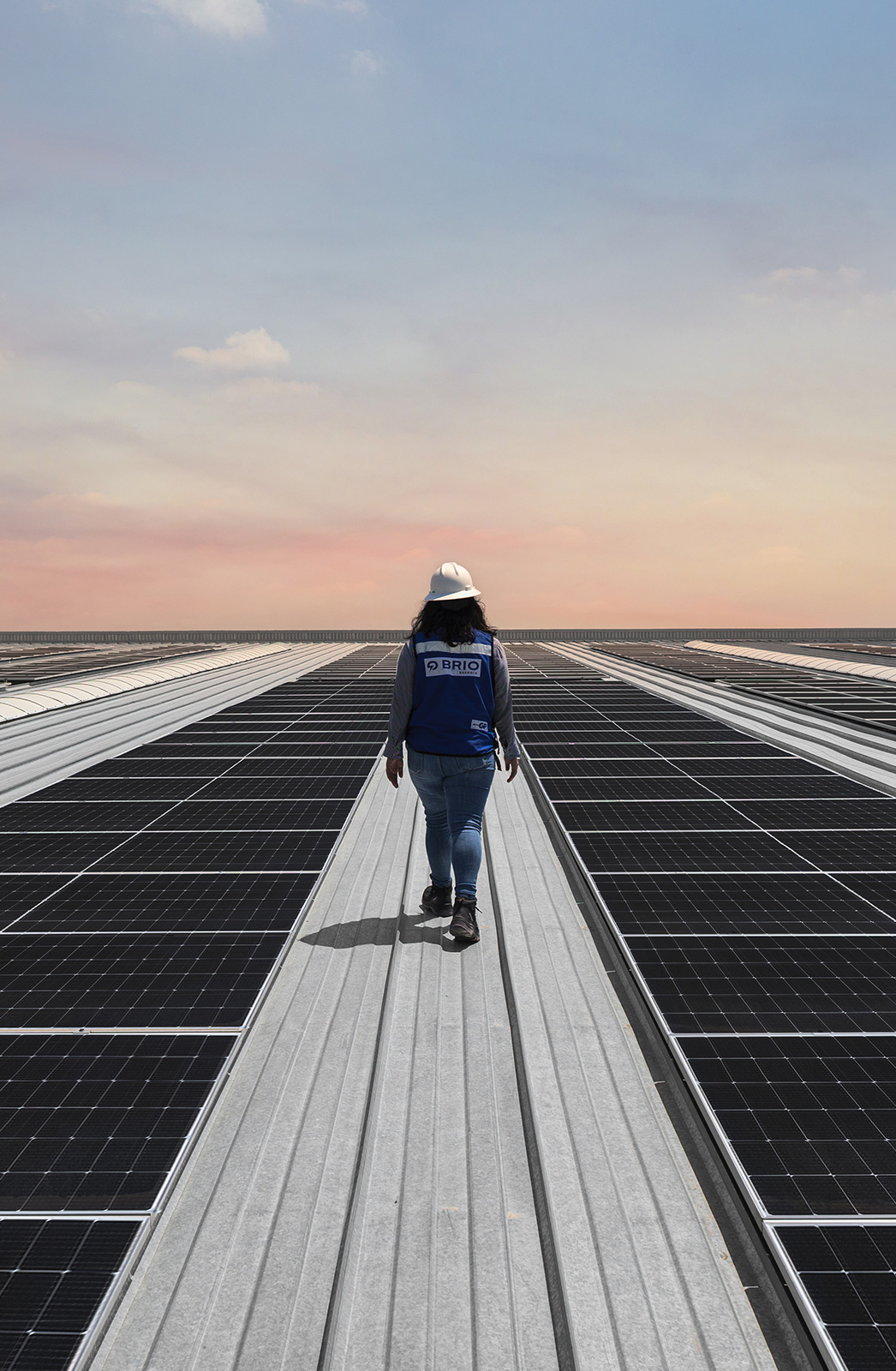Trabajadora con casco camina entre filas de paneles solares al atardecer.