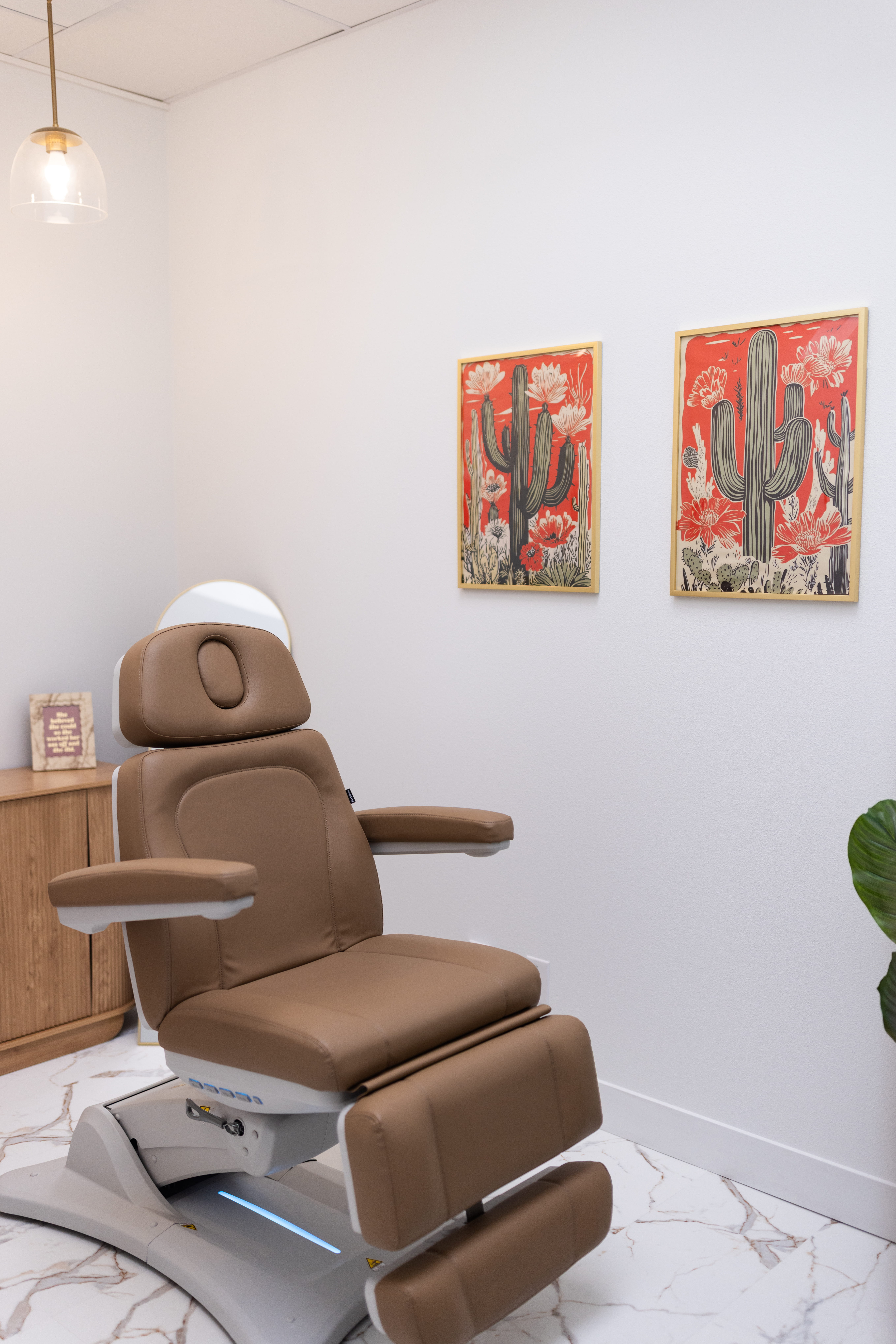 Lush clinic gallery 4