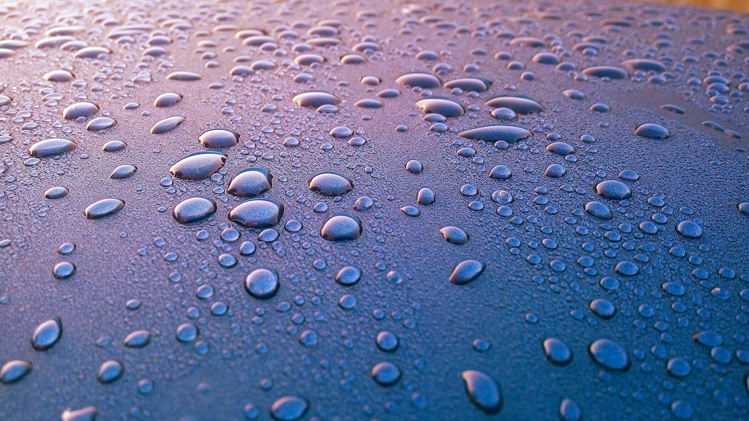 Revivify hydrophobic coating demonstration showing water beading on protected surface