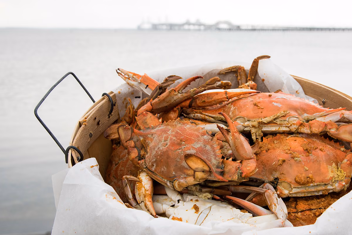 A basket of steamed crabs seasoned with spices sits by the water with a pier visible in the background.
