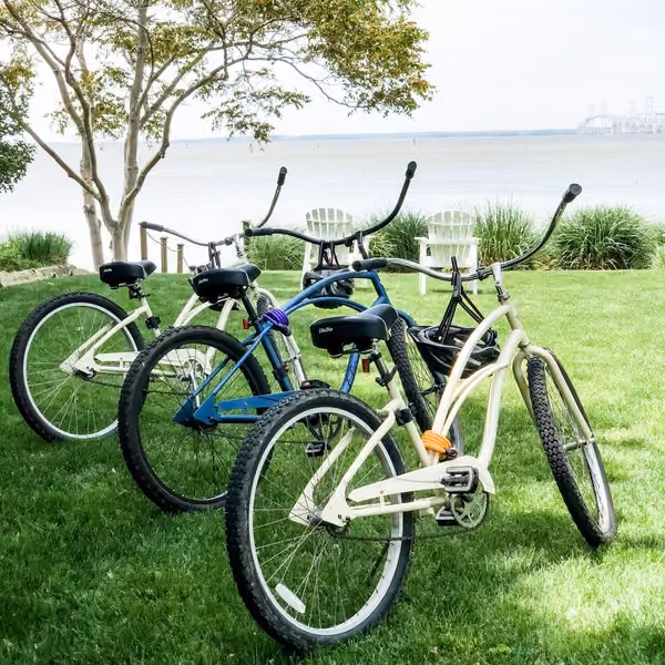 Beach cruiser bikes lined up along the waterfront at The Inn
