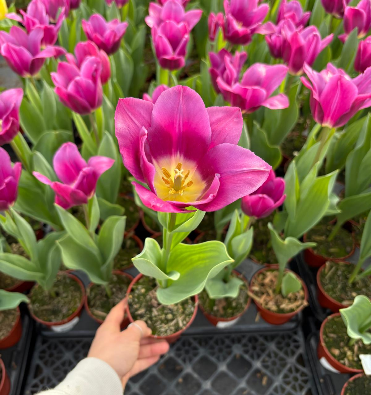 Satellite in orbit against sky.